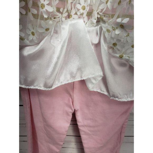 DDG Darlings SO CUTE Flower pot 2 piece outfit 12 months white pink lace mesh - Picture 3 of 7